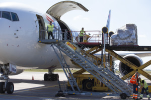 The plane - 907X4846