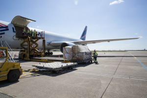 The plane - 907_1921