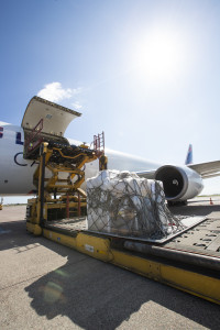 The plane - 907_2005